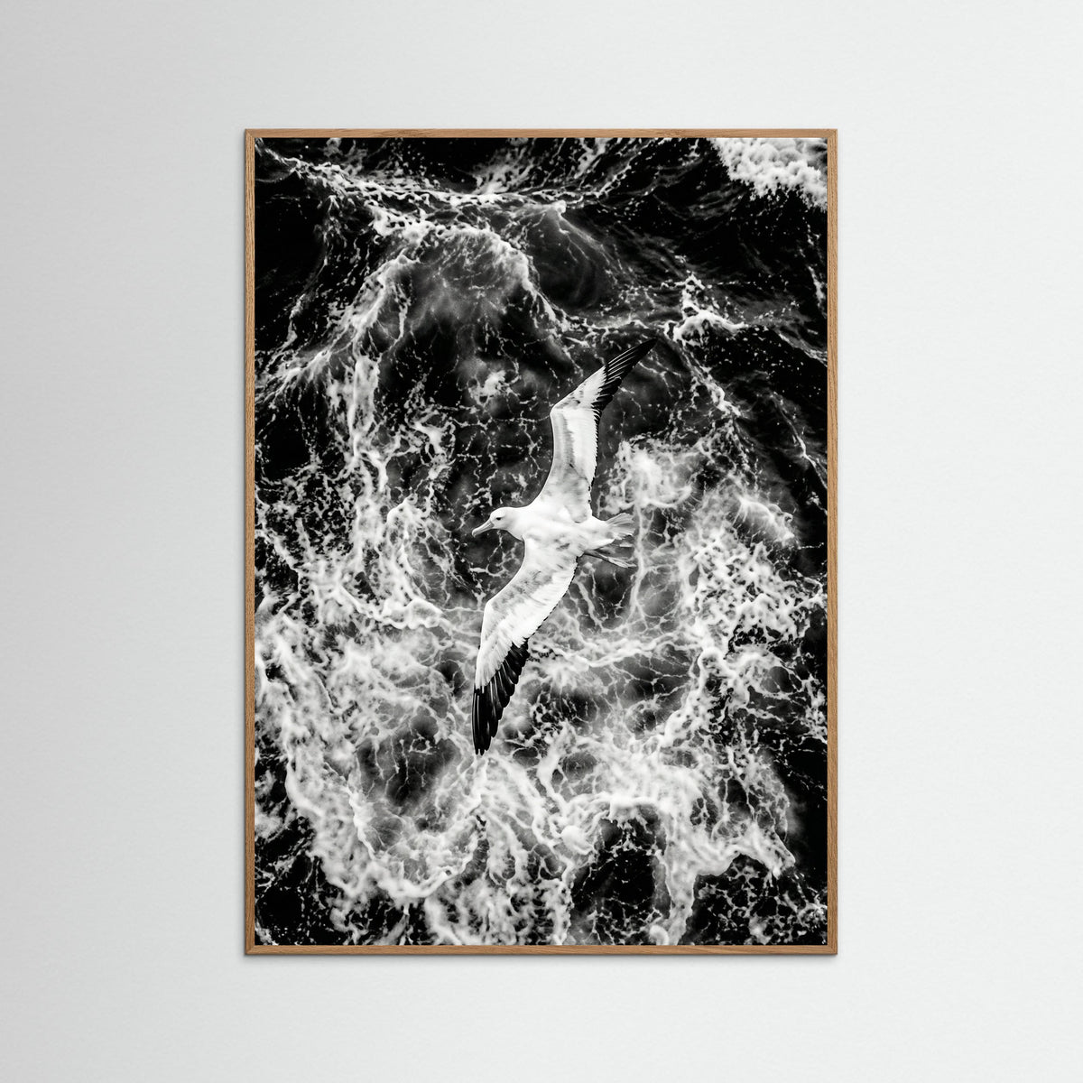 Oak Nature Turbulent Flight