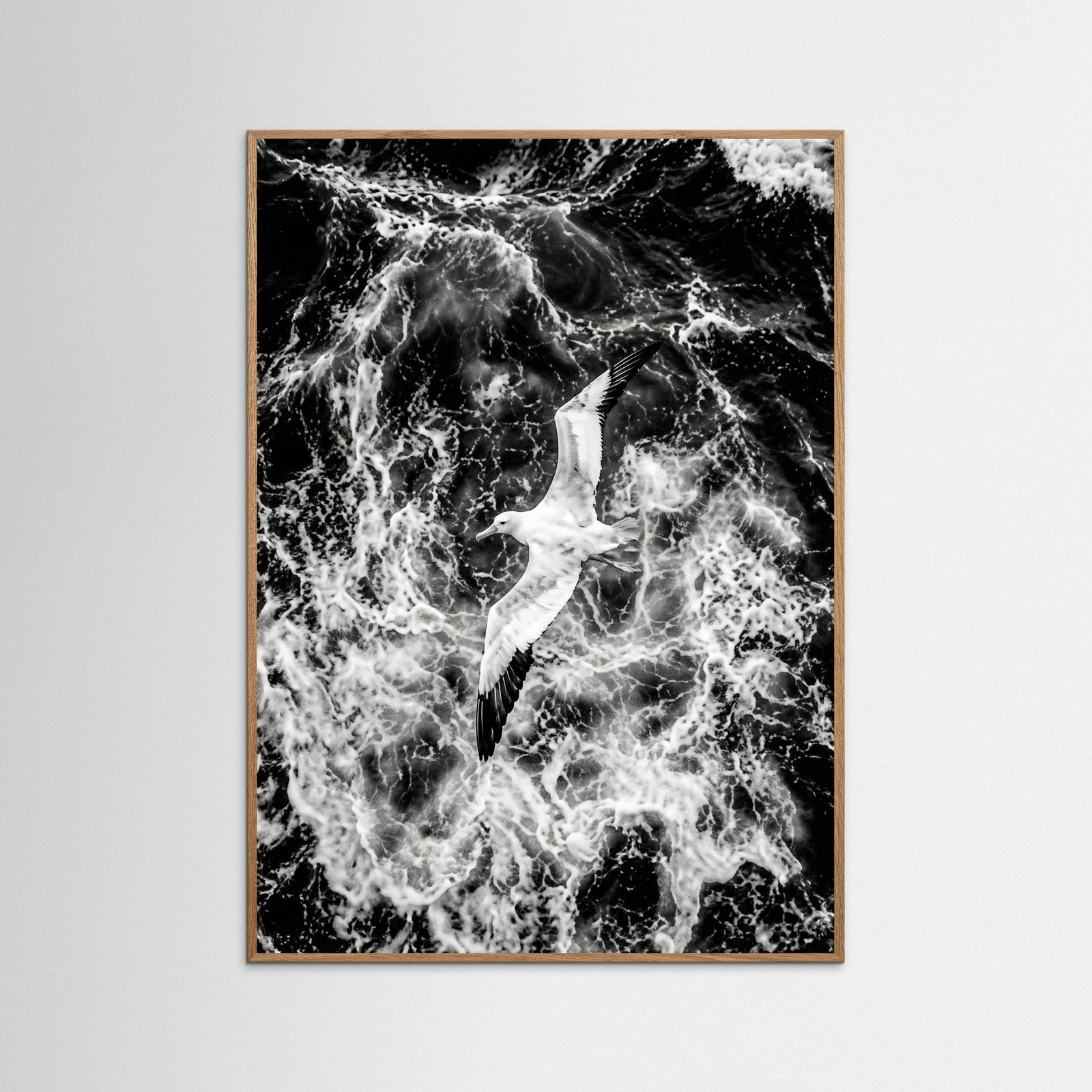 Oak Nature Turbulent Flight