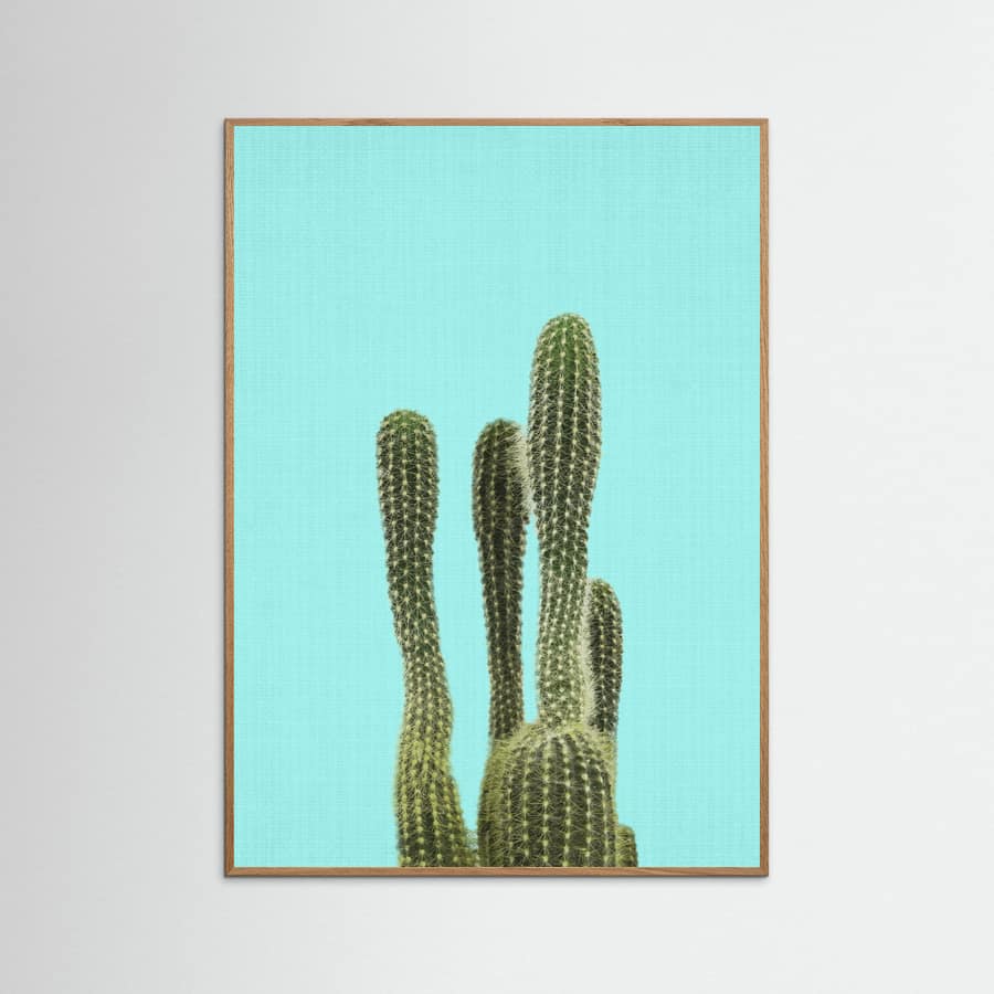Turquoise Cactus Poster