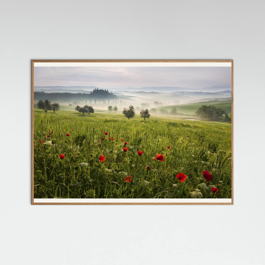 Póster Tuscan spring – póster e impresión artística