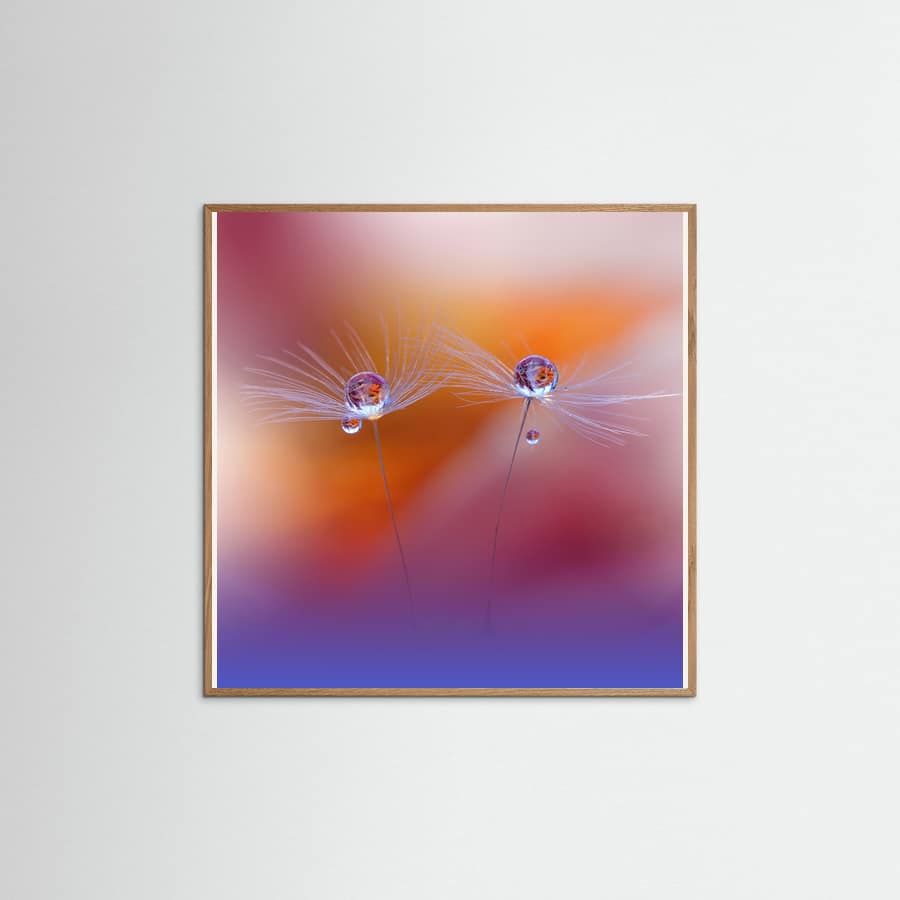 Two Worlds Poster – poster and art print