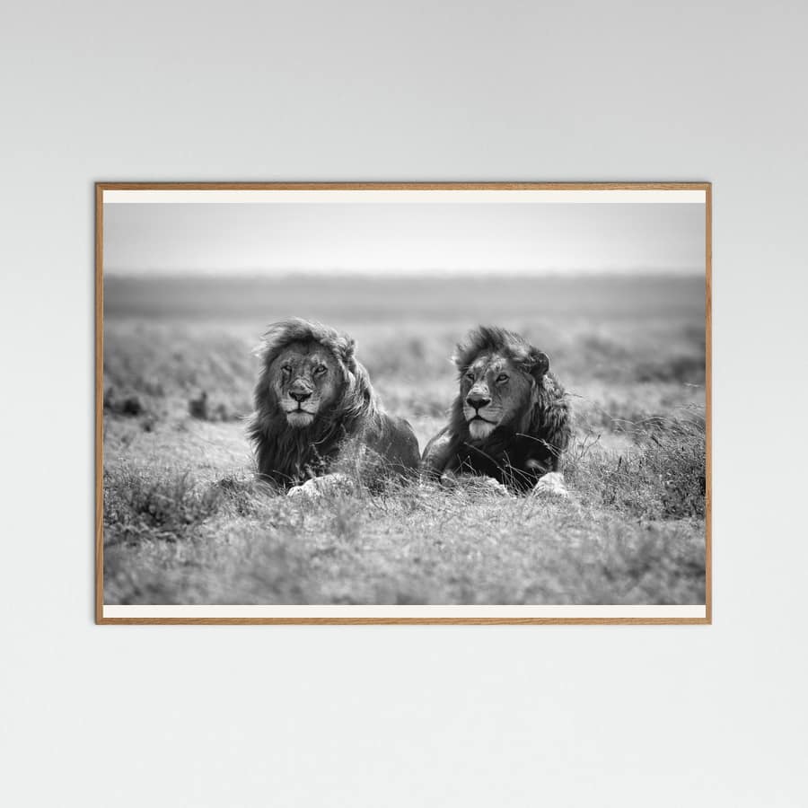 Two kings Poster