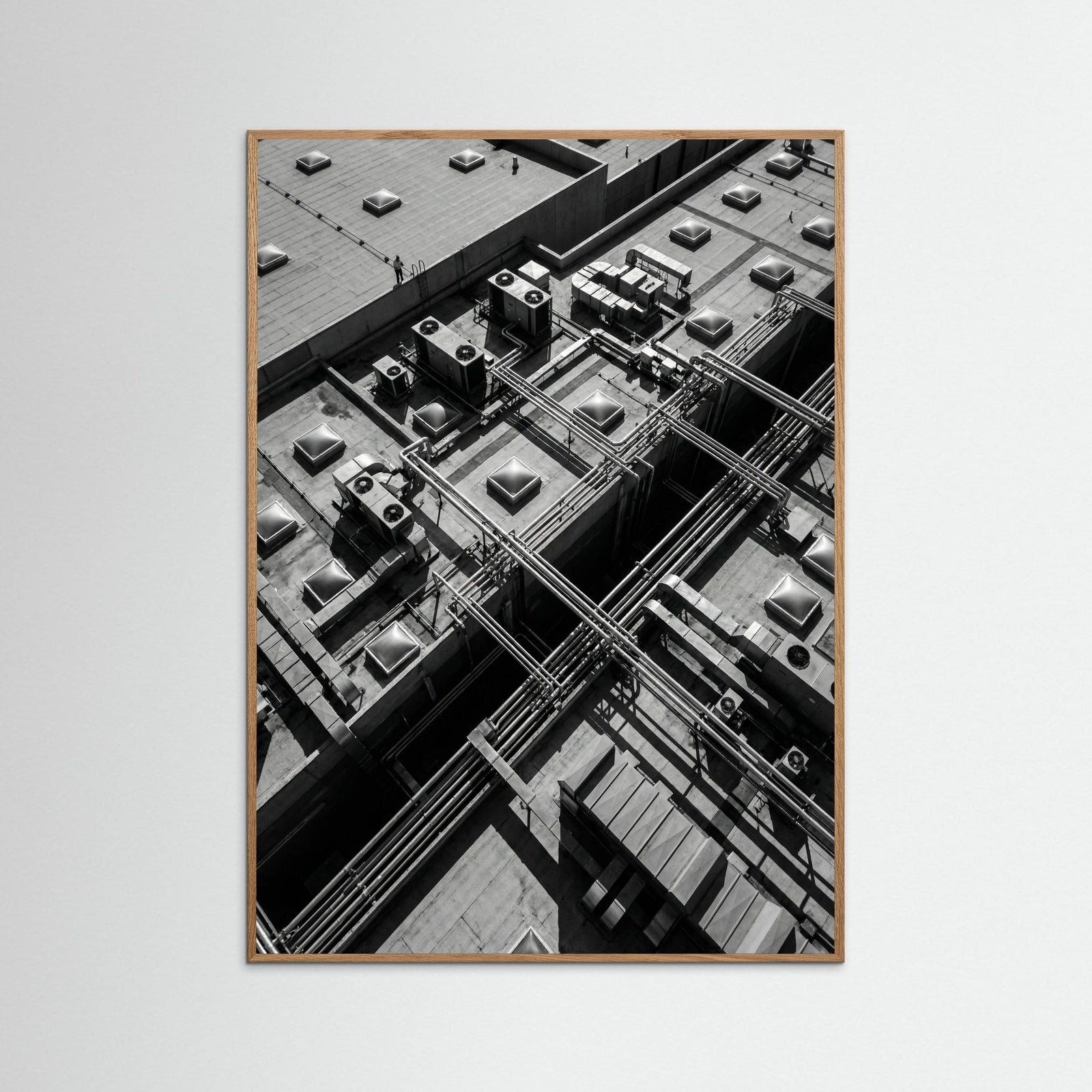 Oak Nature Urban Perspective