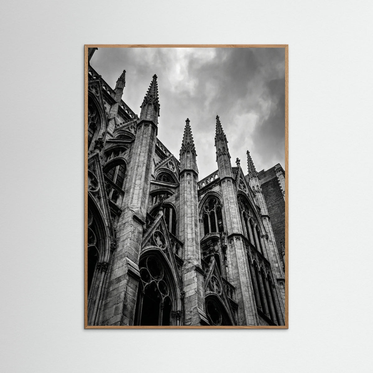 Oak Nature Urban Zenith