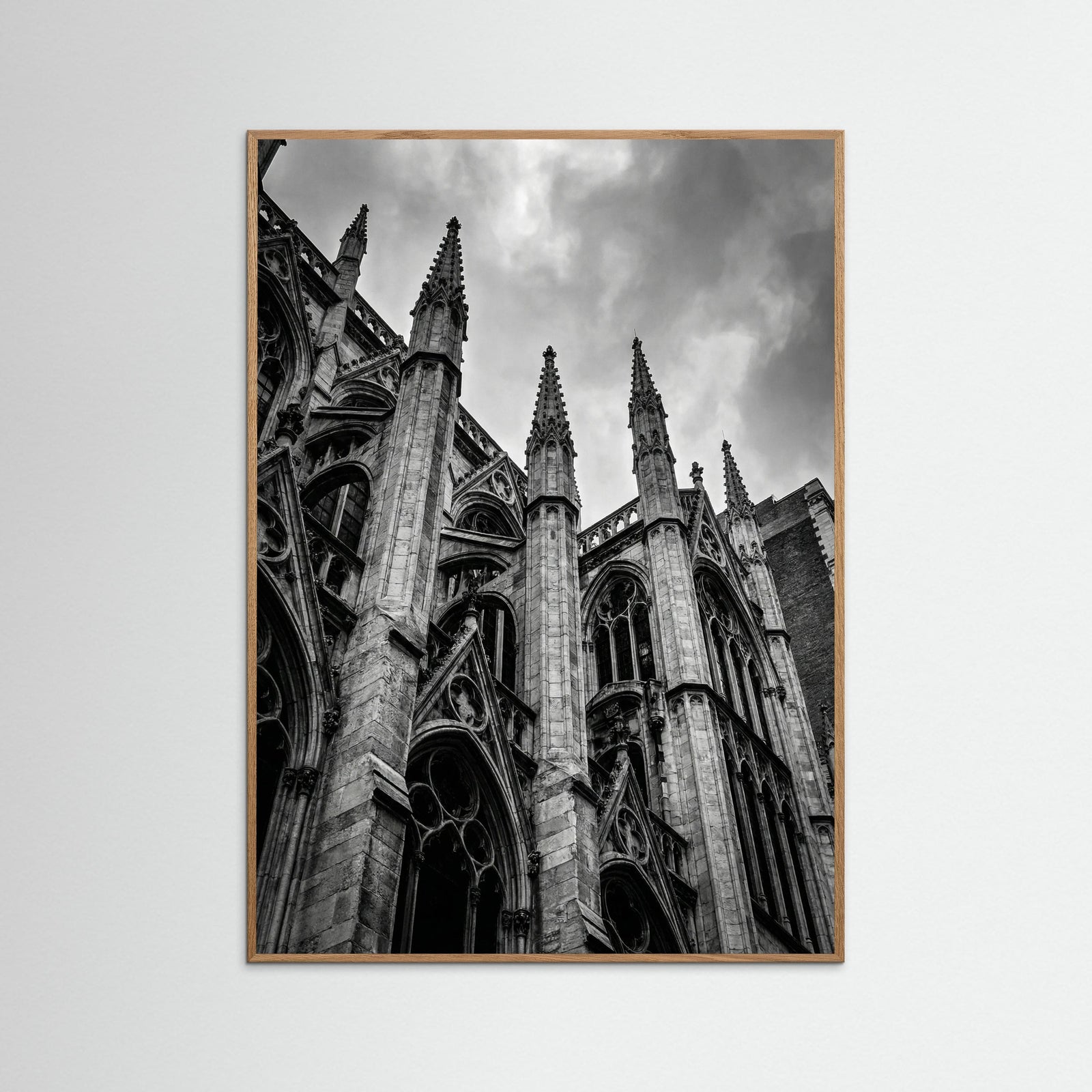 Oak Nature Urban Zenith