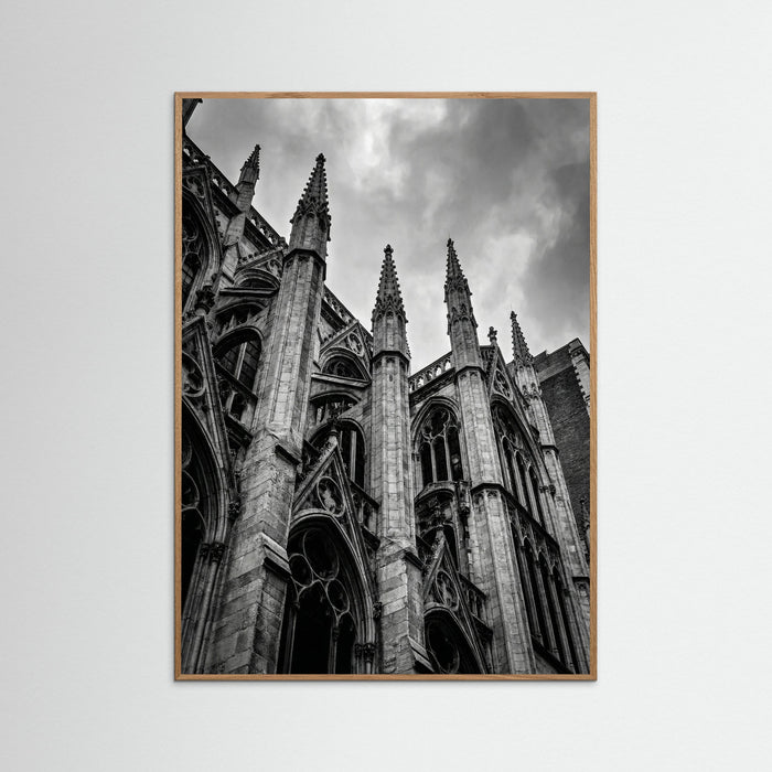 Oak Nature Urban Zenith