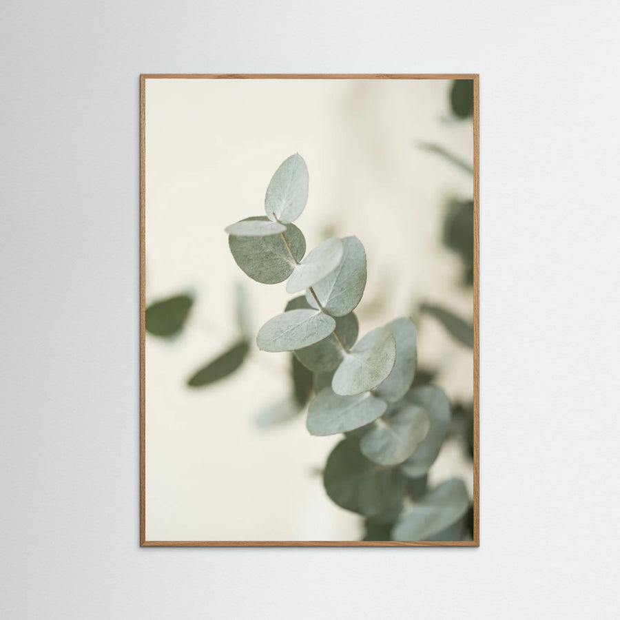 Verdant Calm