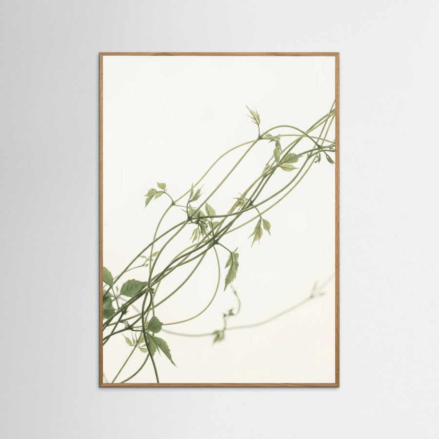 Verdant Calm