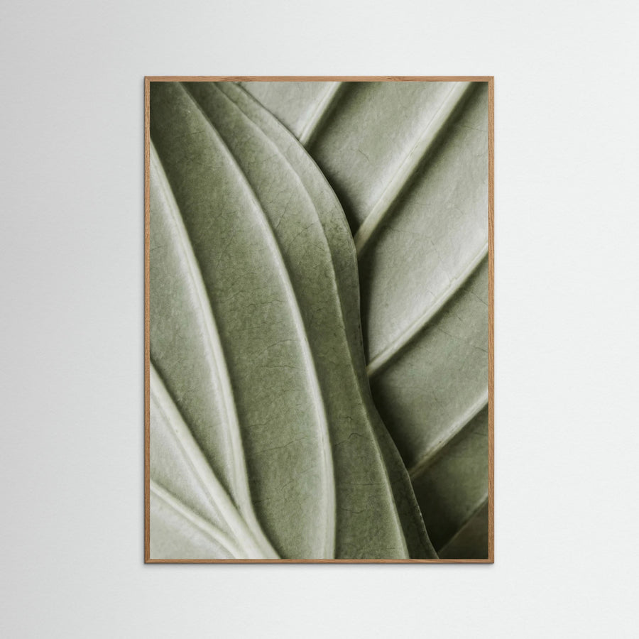 Verdant Folds