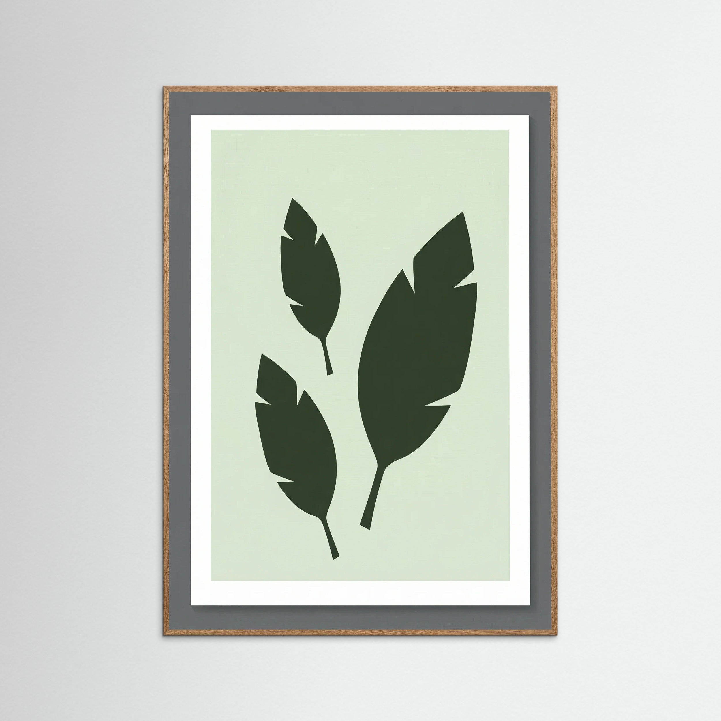 Oak Nature Verdant Silhouette