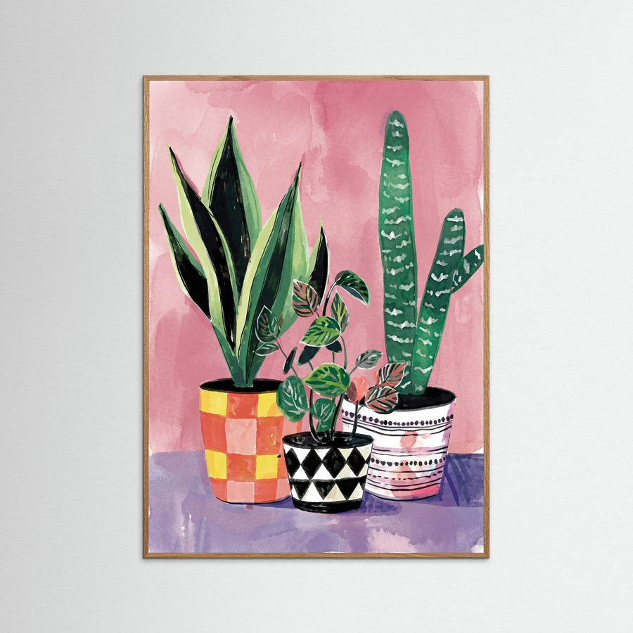 Vibrant Houseplant Trio