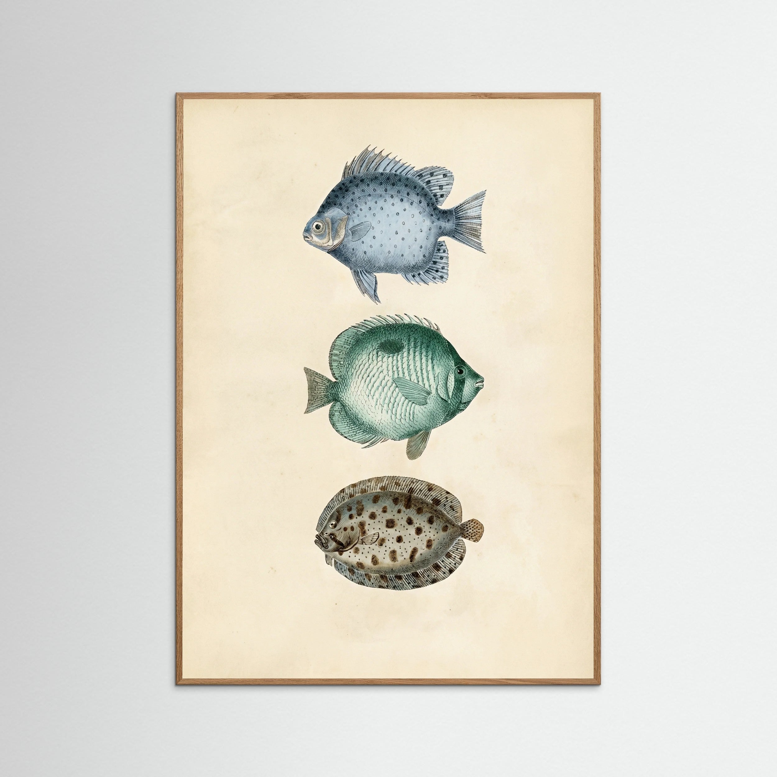 Oak Nature Vintage Ichthyology Studies