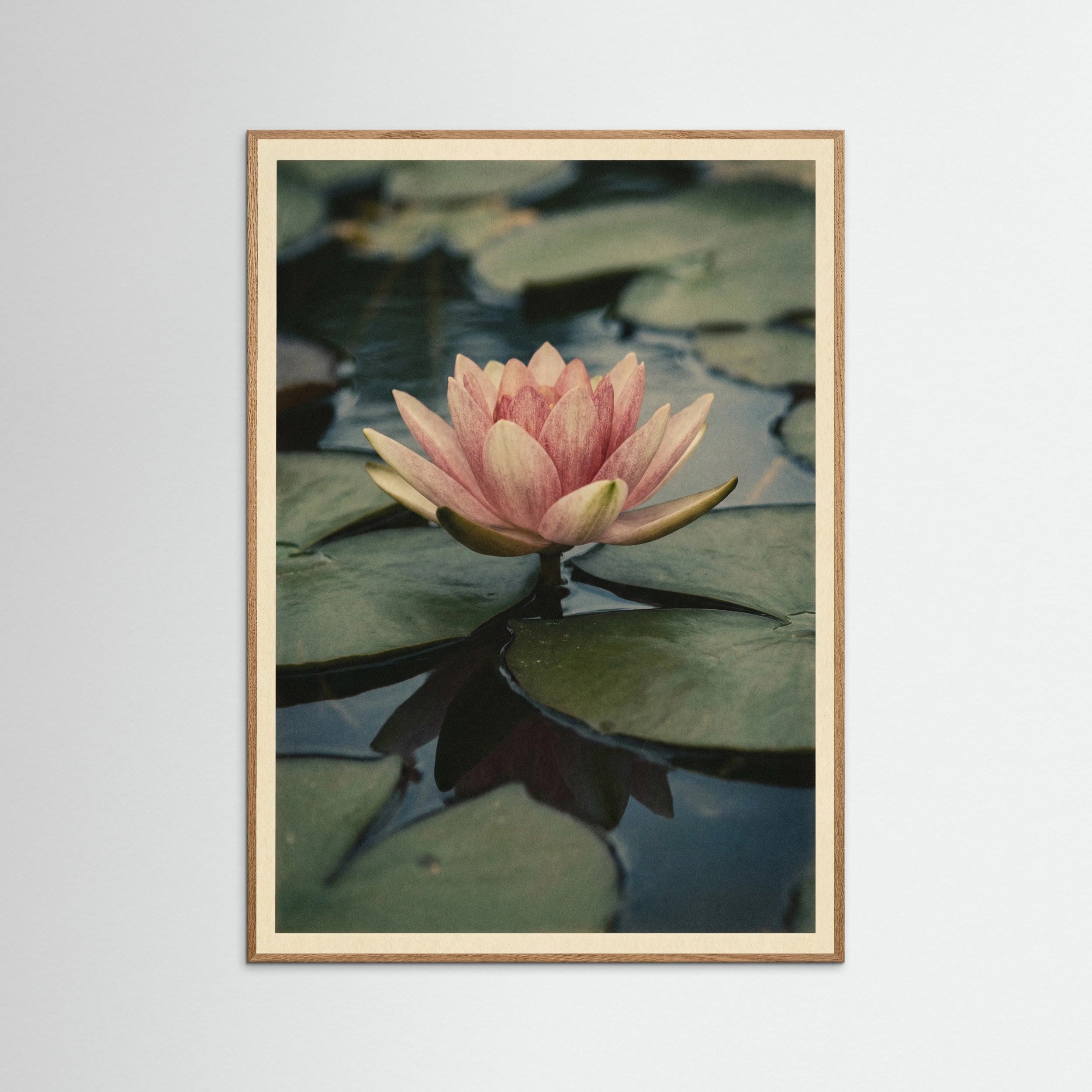 Oak Nature Vintage Lotus Study