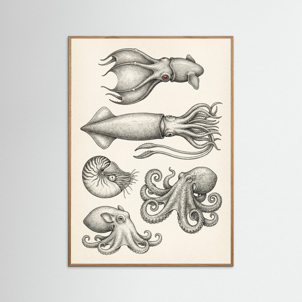 Oak Nature Vintage Shark Study