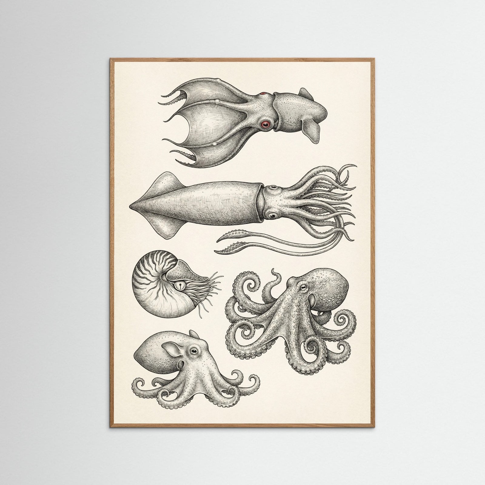 Oak Nature Vintage Shark Study