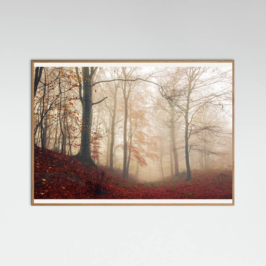 Waiting for the deer. Poster – plakat og kunsttryk