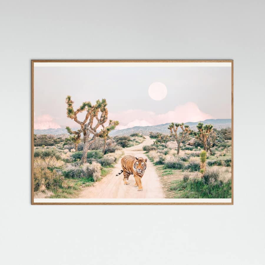 Wandering Tiger Poster