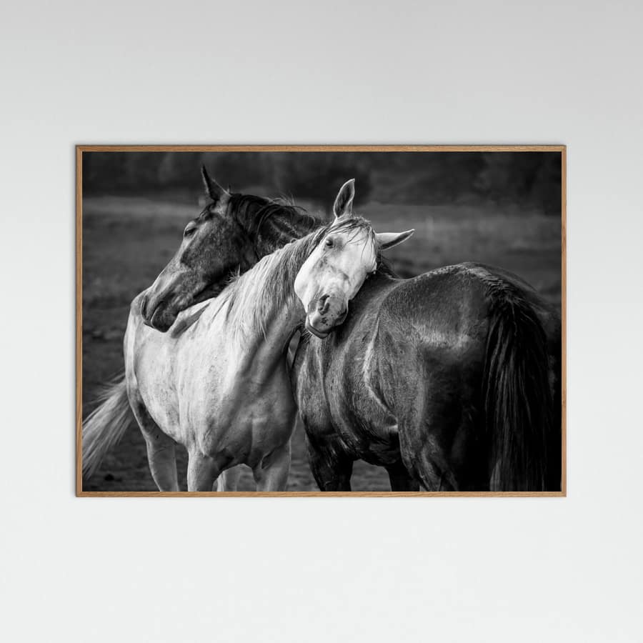 Warm rain Poster – plakat og kunsttryk
