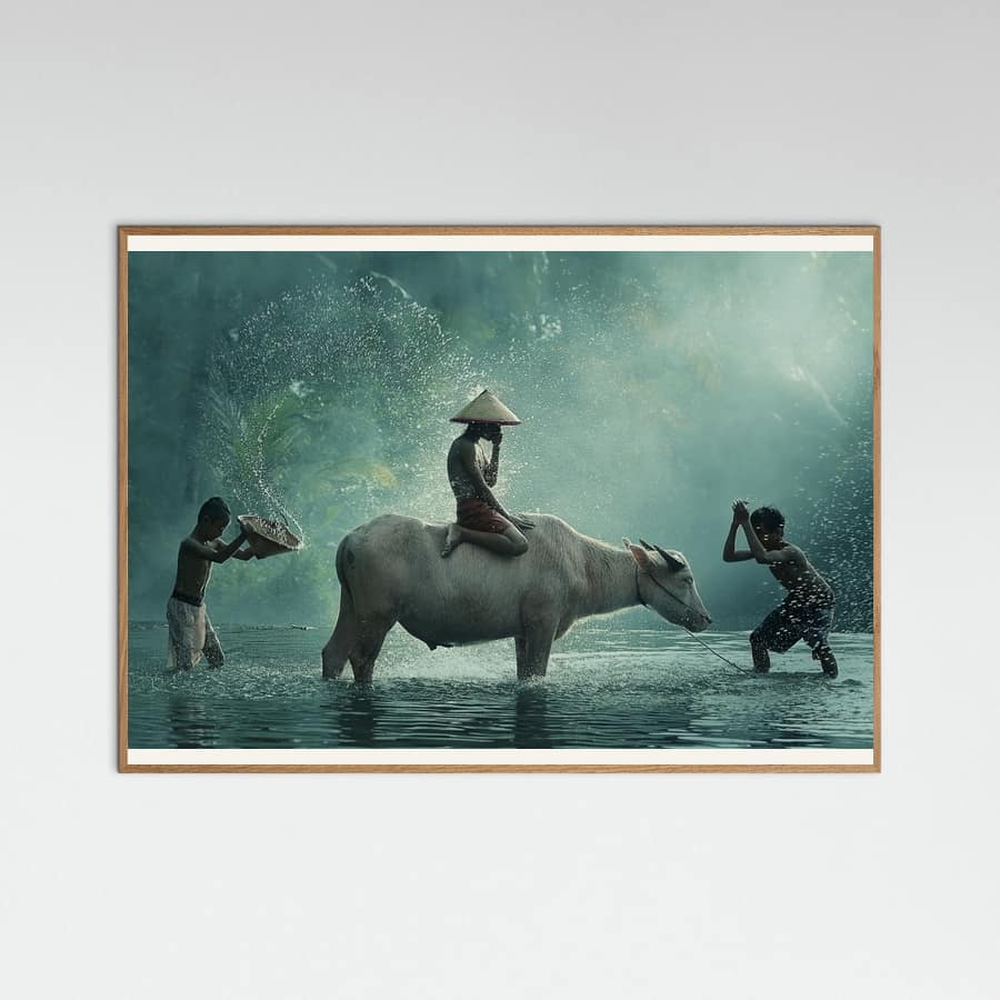 Plakat Water Buffalo – plakat i druk artystyczny