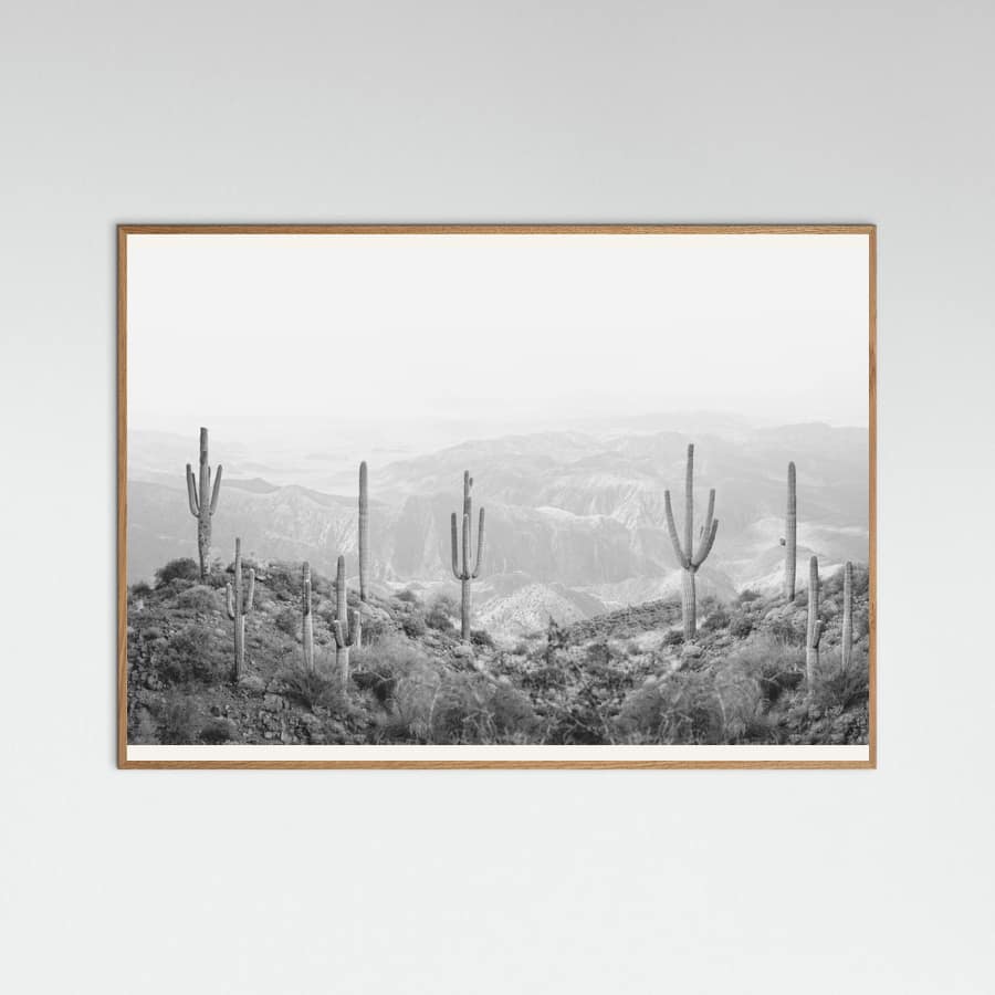 Oak Nature Western Cactus Poster