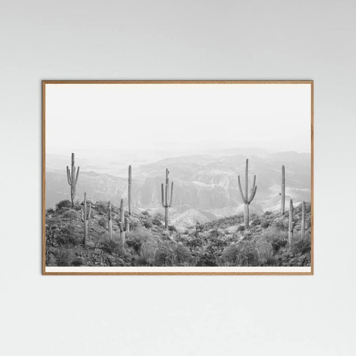 Oak Nature Western Cactus Poster