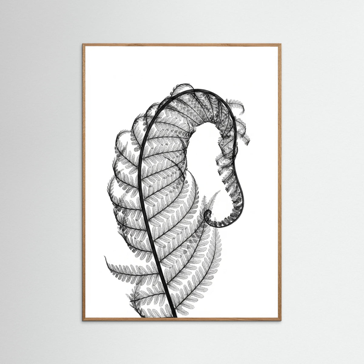 Oak Nature Whisper Bloom