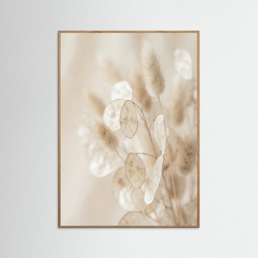 Whisper Bloom
