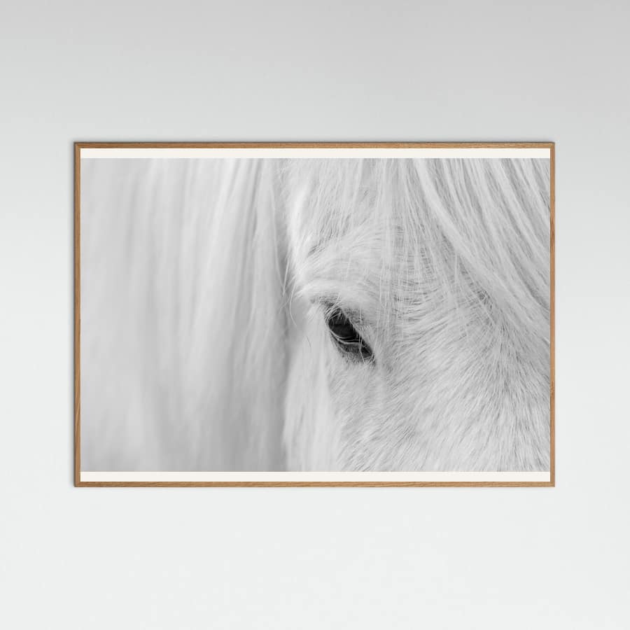 Poster Whisper of Iceland