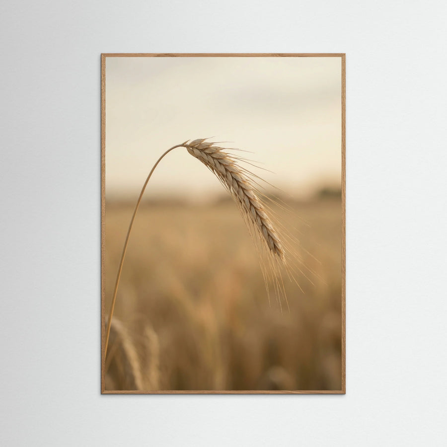 Whispering Pampas