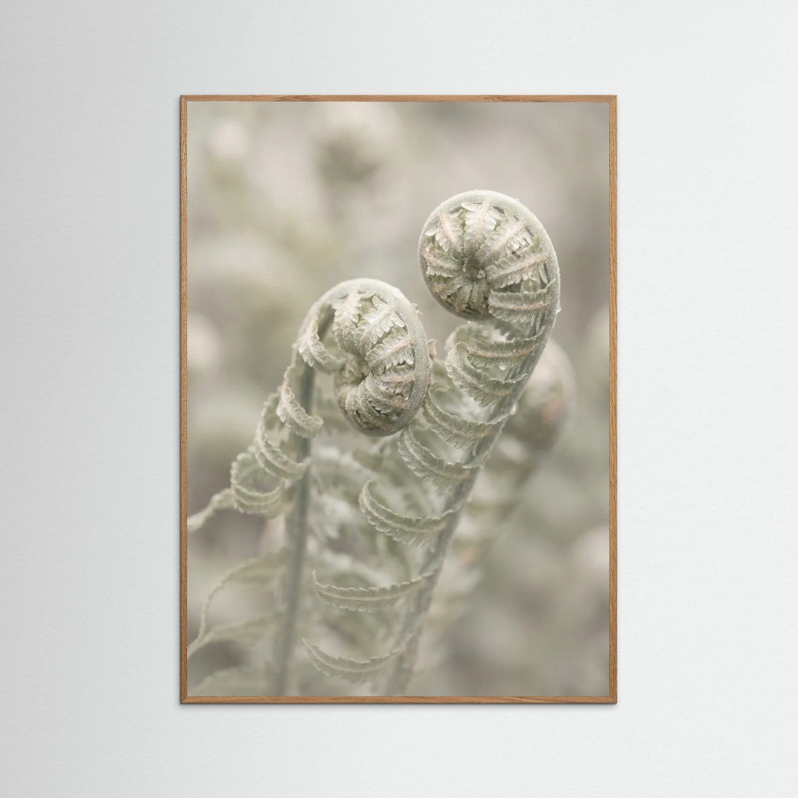 Oak Nature Whispering Petals