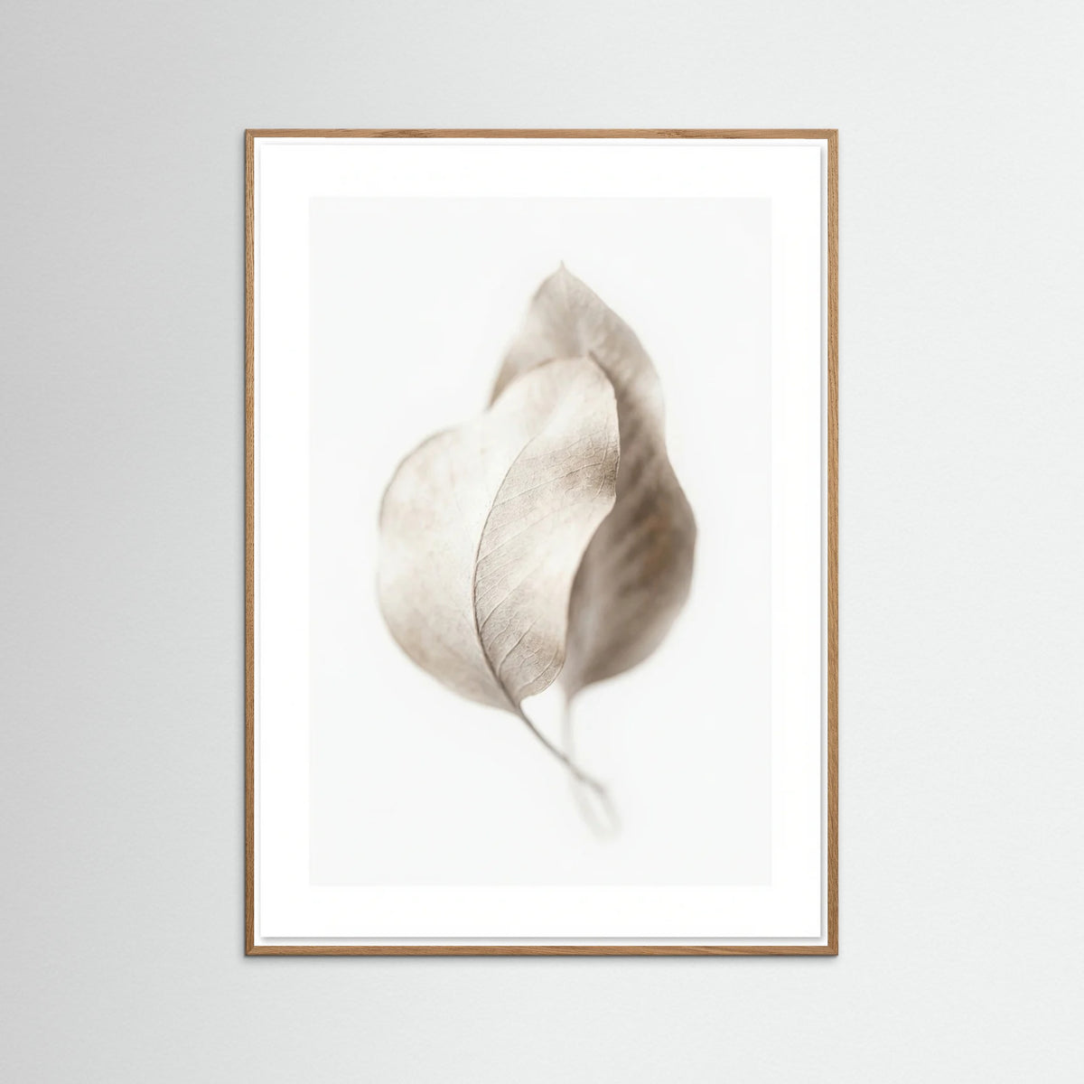 Oak Nature Whispering Plumes