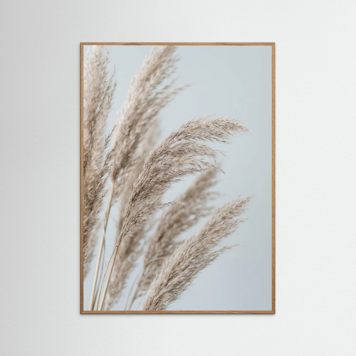 Oak Nature Whispering Seedlings