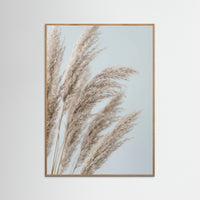 Whispering Seedlings