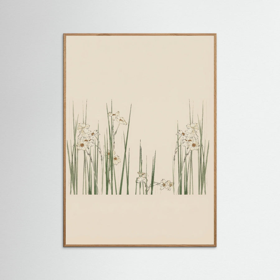 White Bloom Fields