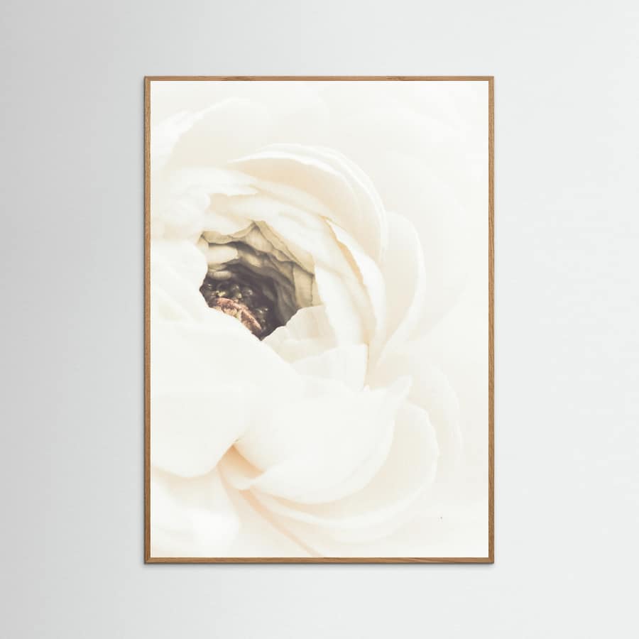 Plakat White Flower 01