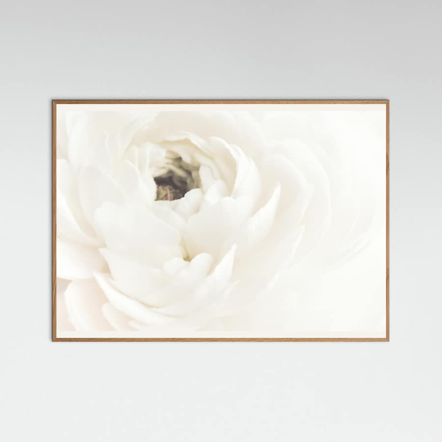 White Flower 02 Poster