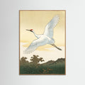 Oak Nature White Peacock Elegance