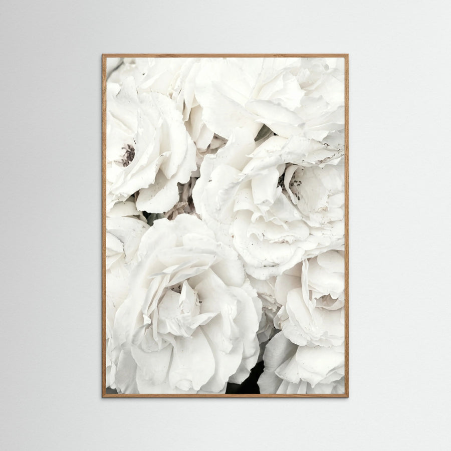 White Petal Embrace