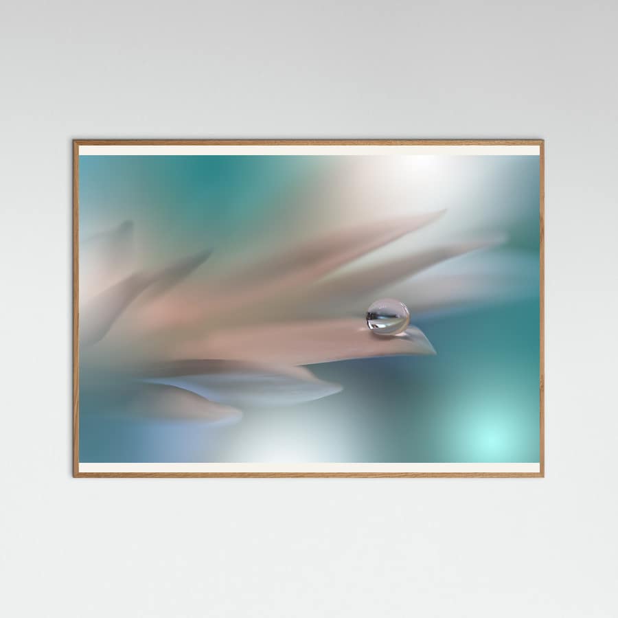 White Symphony.. -juliste – juliste ja taidepainatus