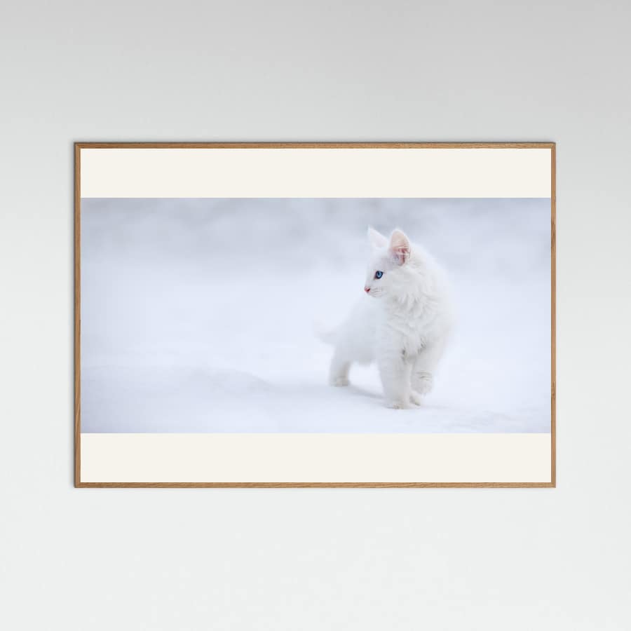 White as Snow -juliste