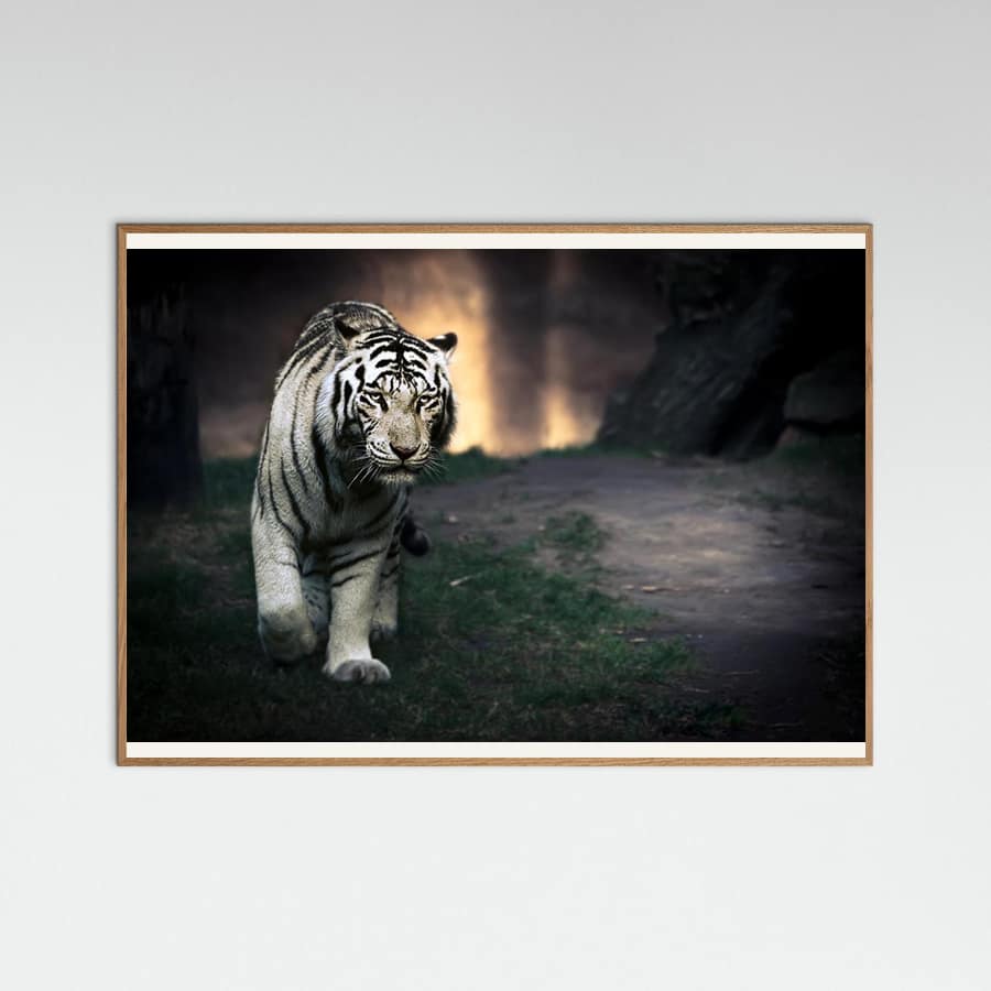 White walker -juliste – juliste ja taidepainatus