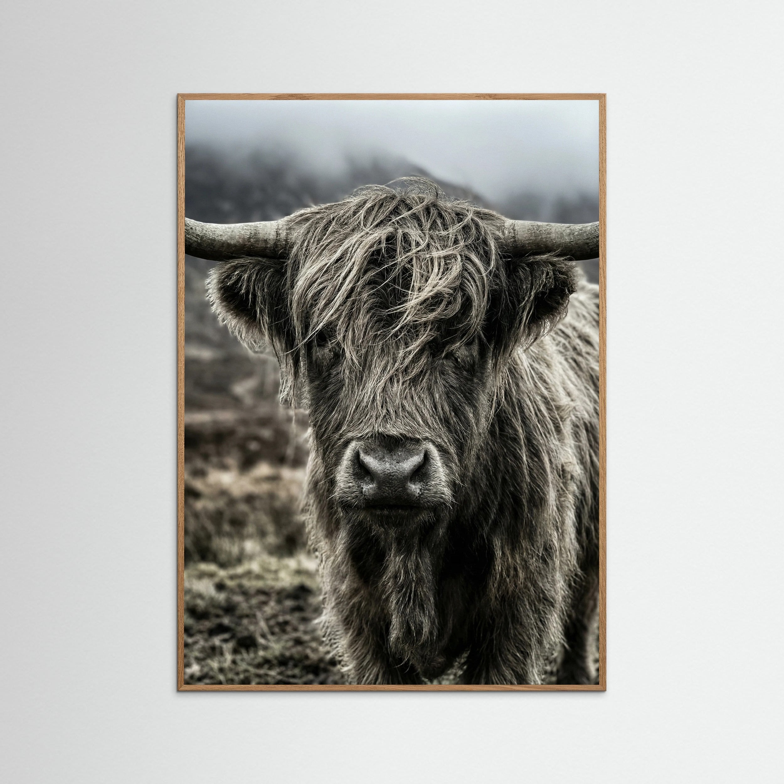Oak Nature Wild Horse Spirit