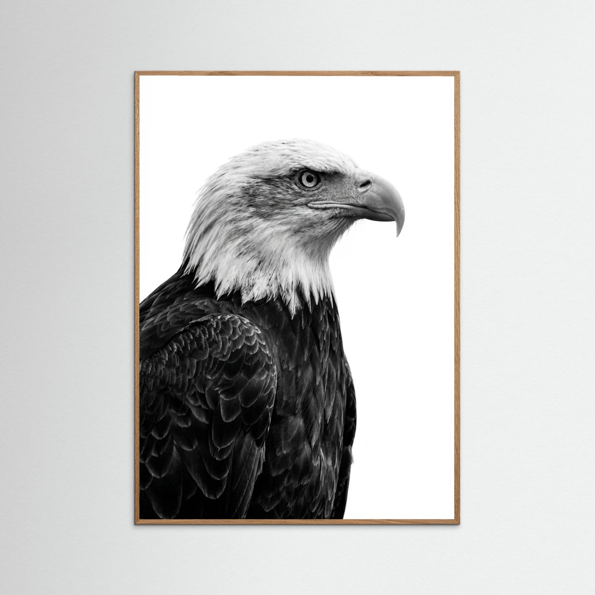 Oak Nature Wild Profile