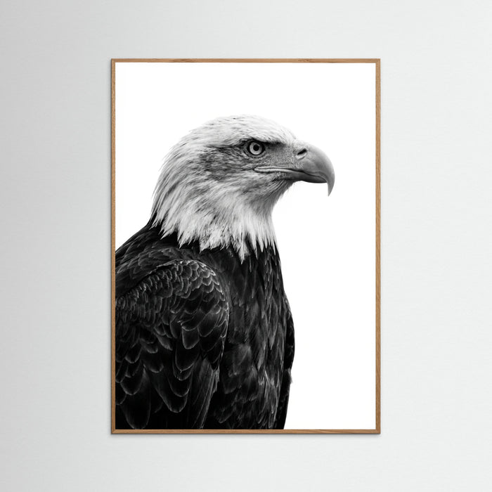 Oak Nature Wild Profile