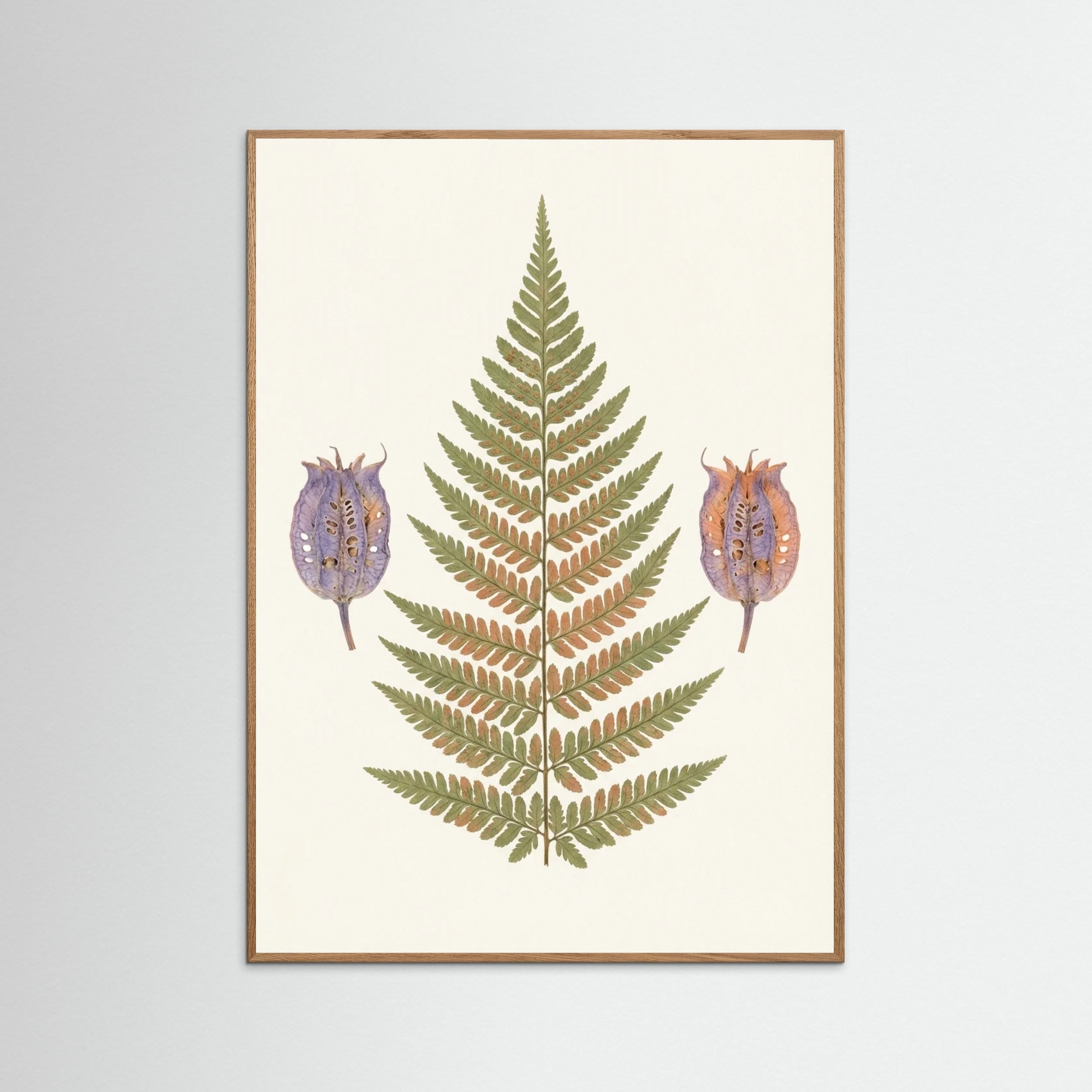 Oak Nature Wildflower Bundle