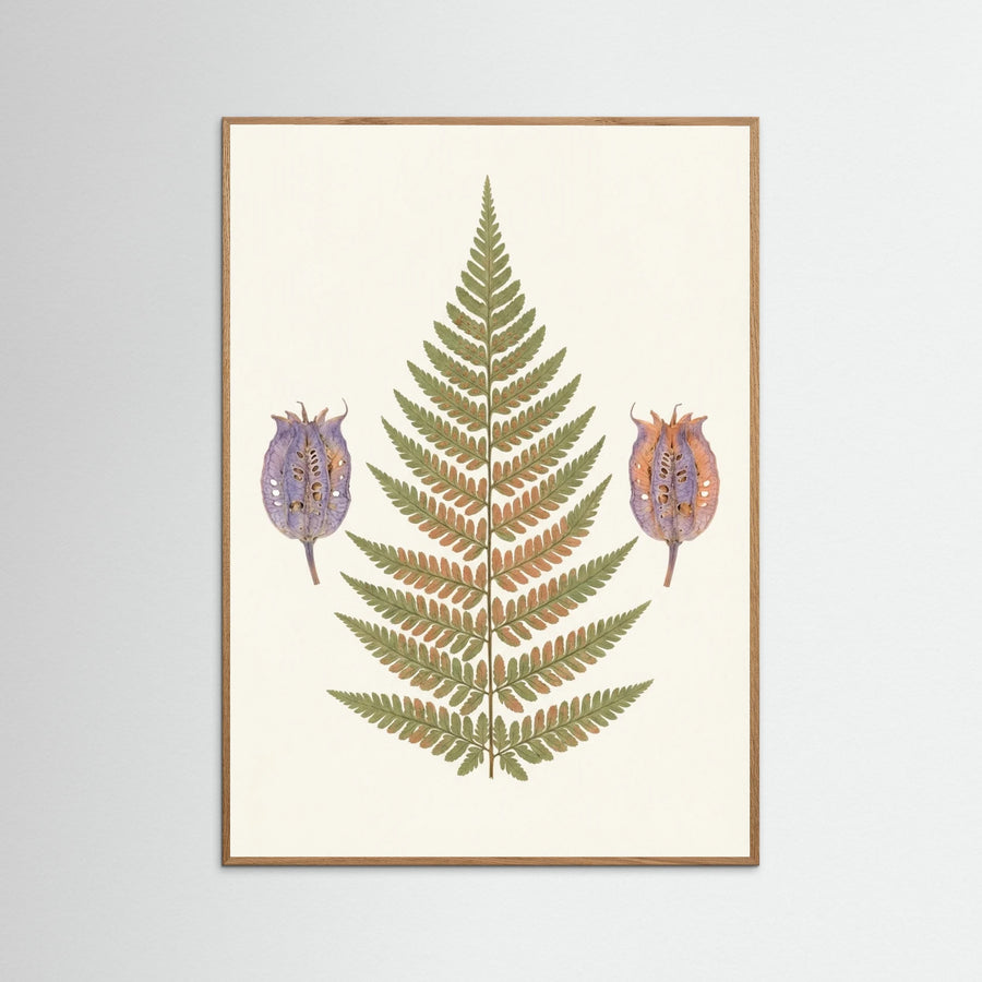 Wildflower Bundle