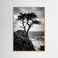 Oak Nature Windblown Grace