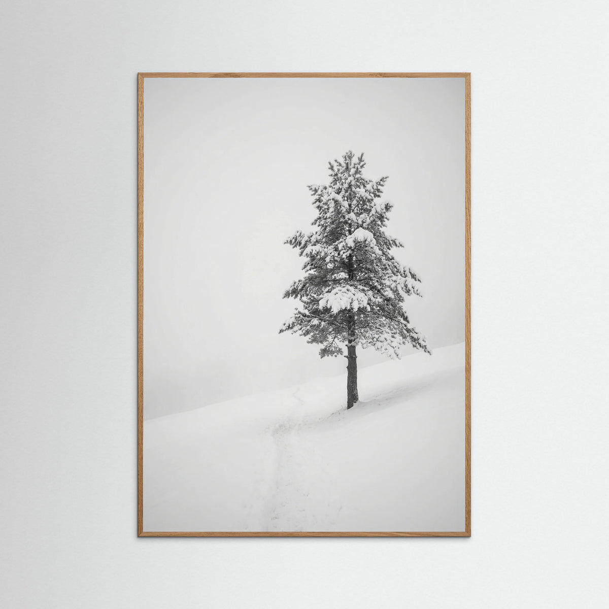 Oak Nature Winter Ascent