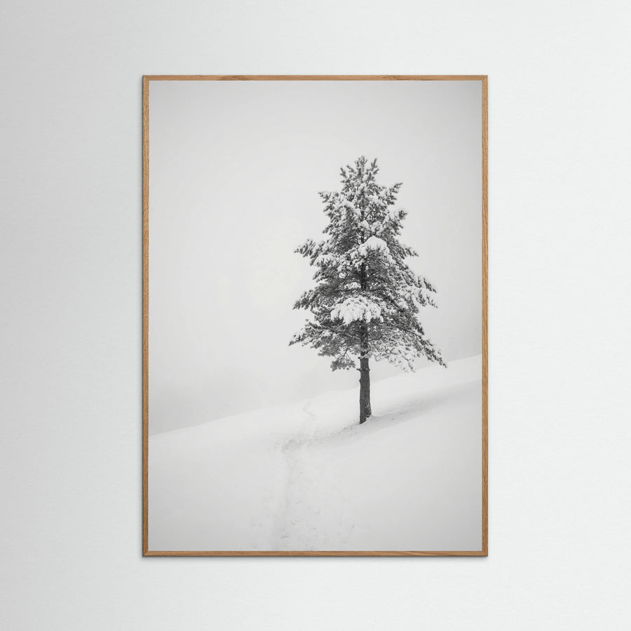 Winter Ascent