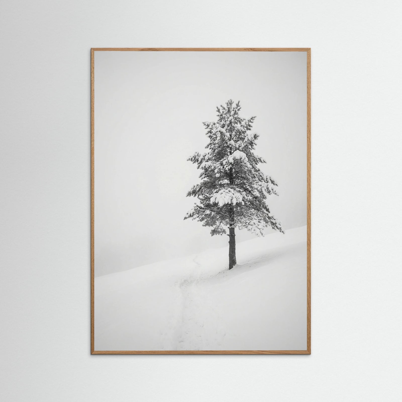 Oak Nature Winter Ascent